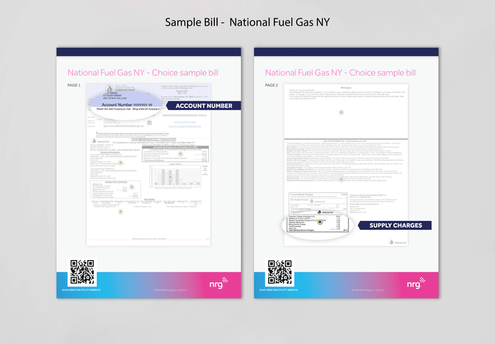 NRG Bill Samples