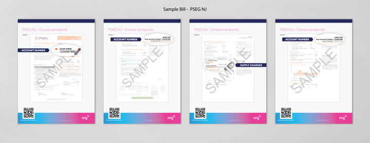 NRG Bill Samples
